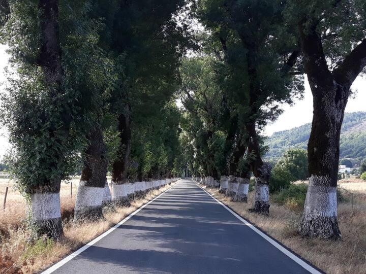 O Casulo Villa Marvão Buitenkant foto